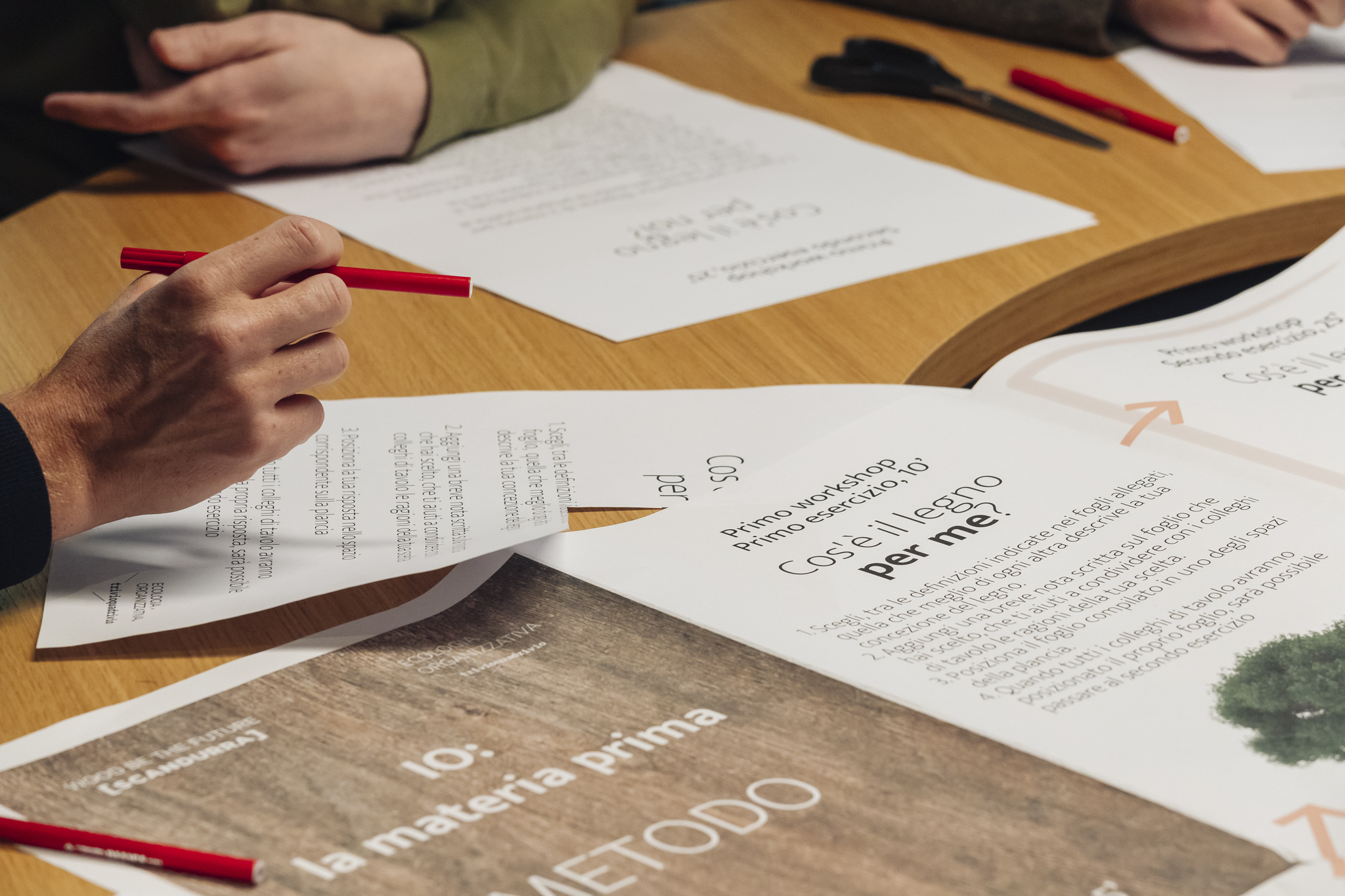 Wood be the future: Ecologia Organizzativa® con Scandurra Studio